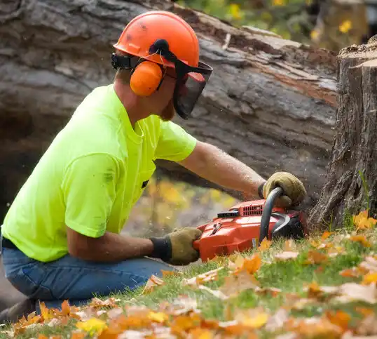 tree services Marksville